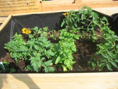 komunitni zahrada jizni mesto