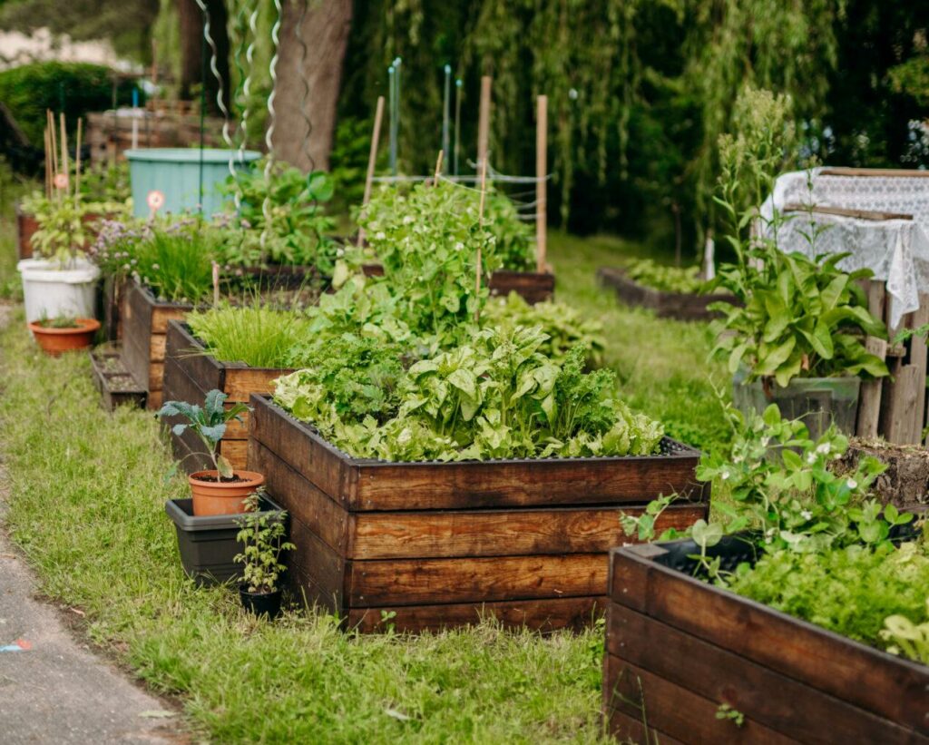 jak na komunitni zahradu