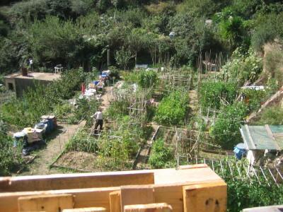 komunitní zahrada Barcelona