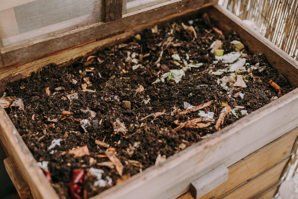 celoroční vermikompostování na balkoně