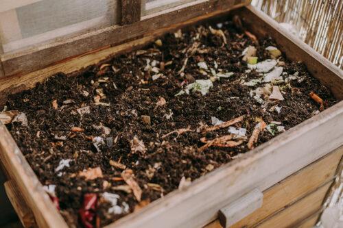 celoroční vermikompostování na balkoně