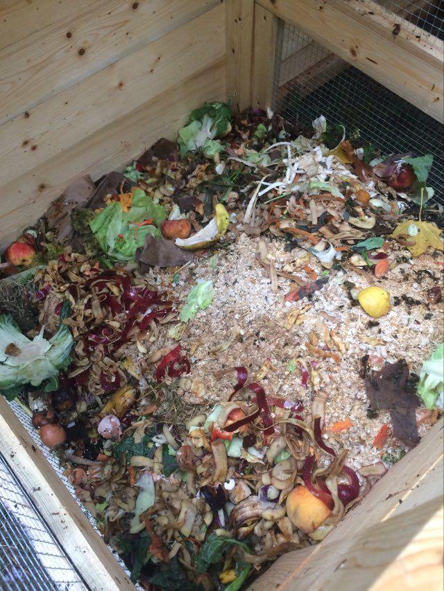 kompostování v zimě