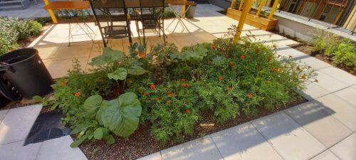 Komunitní zahrada pro seniory