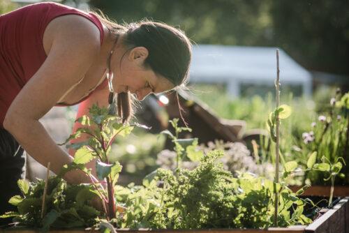 Paní pěstuje kromě rostlinek také duševní zdraví