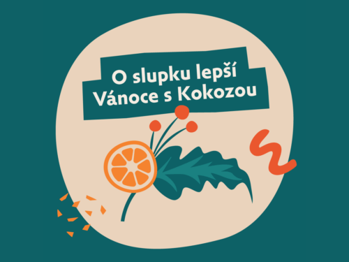 4 tipy na udržitelné vánoční dárky od Kokozy