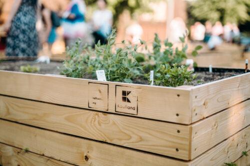 Grant pro komunitní zahrady: Už to roste, už to klíčí