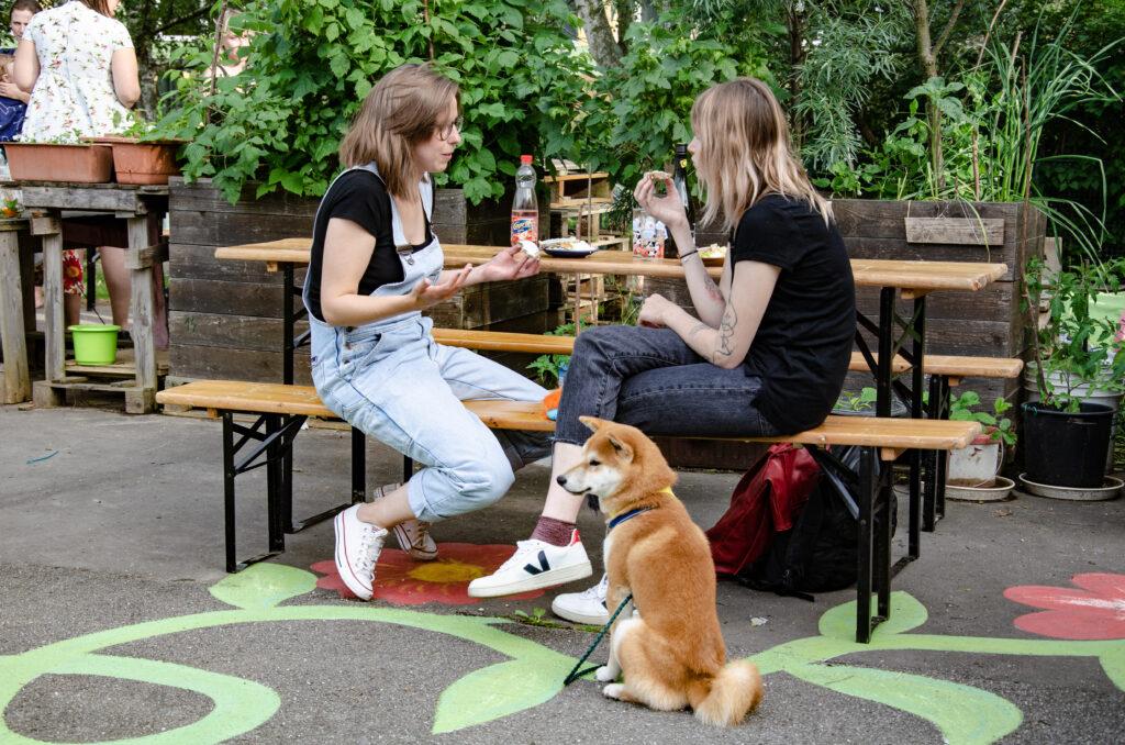 Komunitní zahrada Vidimova