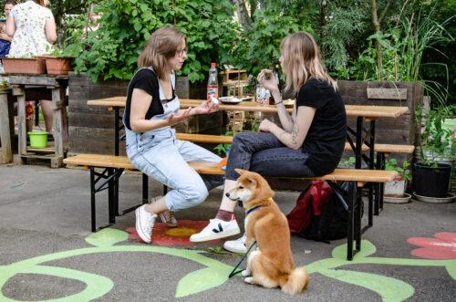 Komunitní zahrada Vidimova