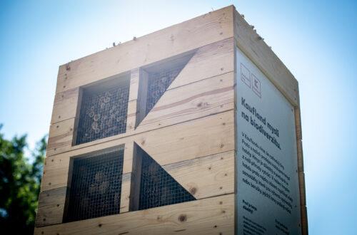 Hmyzí hotel Kaufland