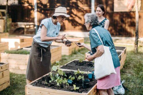 Mentoring komunitních zahradníků