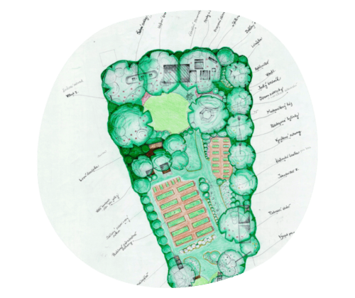 Žižkovská komunitní zahrádka