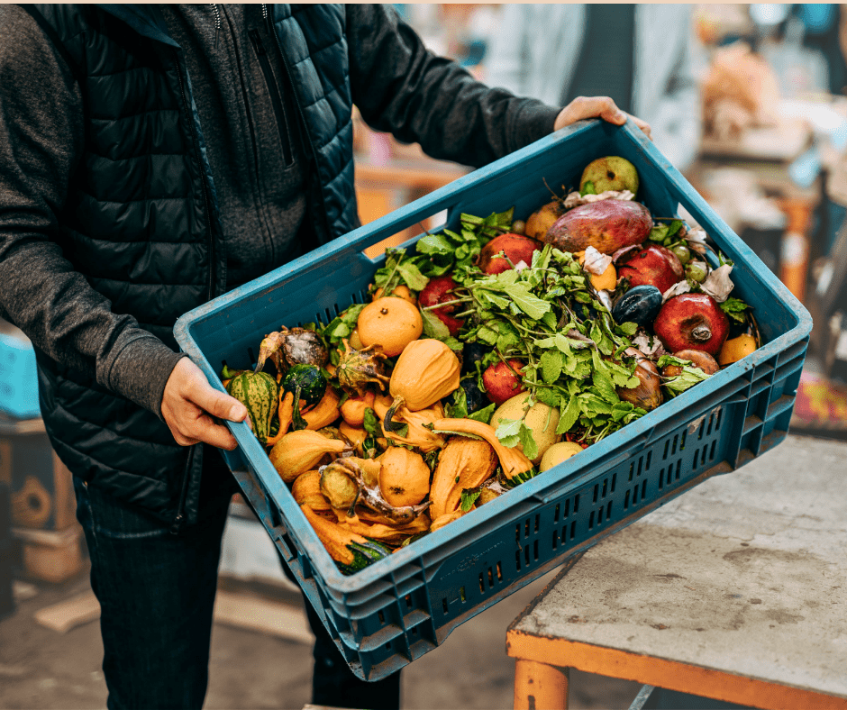 Kolik bioodpadu vyhodíme