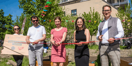 Žižkovská komunitní zahráda – Zelené oázy