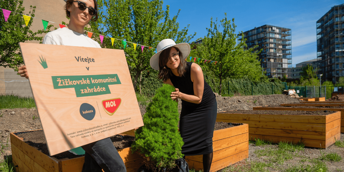 Žižkovská komunitní zahrádka 