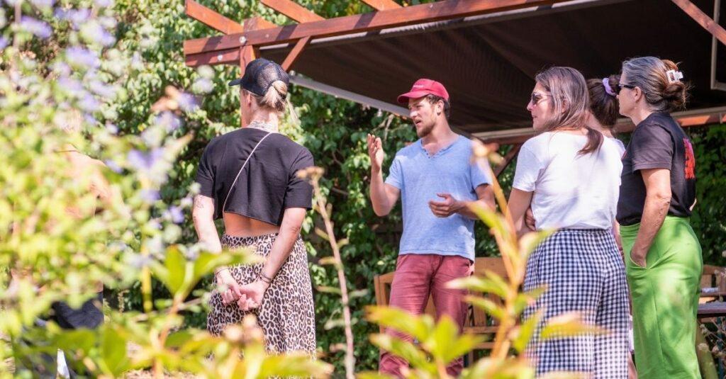 Workshop pro pedagogy