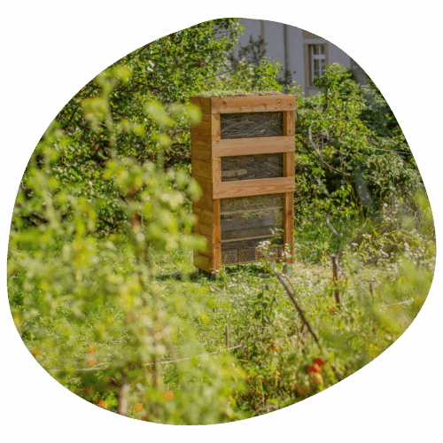 komunitní zahrada ocásčata