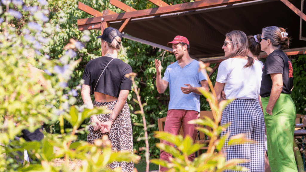 workshop pro pedagogy