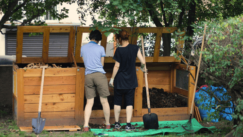 půdní mikrobi v kompostu