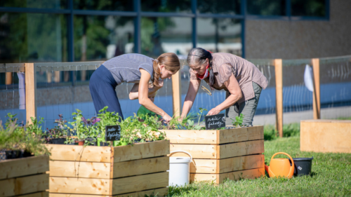 Dvě nové komunitní zahrady v Praze. Jedna u lesa, druhá v srdci města.